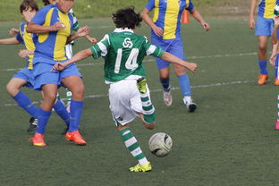 九游电脑版-球员是否通过预判跑位优化传球角度与强度，球员跑动距离怎么测的